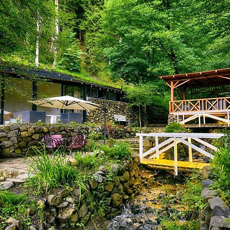 Abastumani Residence Kültér fotó